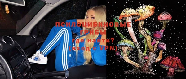 трава Верхнеуральск